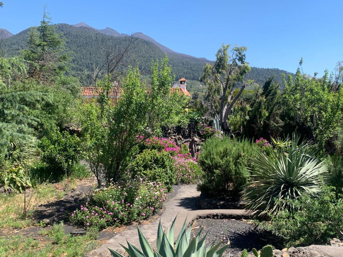 Casa Piedras Blancas With Private Garden Villa El Paso Dış mekan fotoğraf
